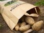 Preview: Potato Bag, print "frische Speisekartoffeln"