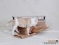 Preview: kraft paper brown dog