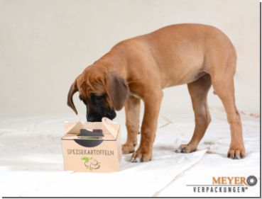 Kartoffelbox