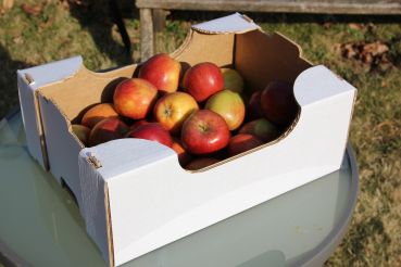 Obst- und Gemüsesteige