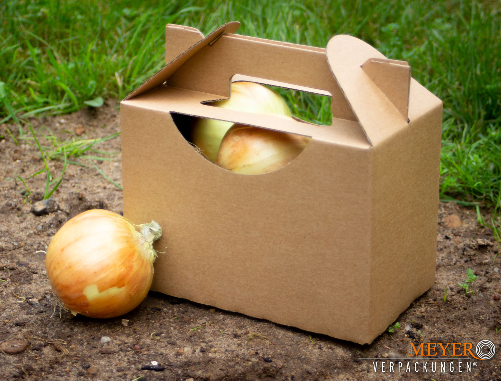 Kartoffel- und Zwiebelbox für 1 kg, 100 Stück