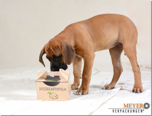 Kartoffelbox