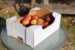 Obst- und Gemüsesteige